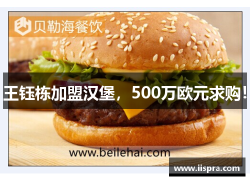 王钰栋加盟汉堡，500万欧元求购！